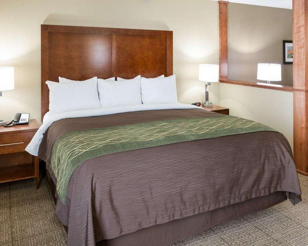 Comfort Inn & Suites West - Medical Center Rochester Habitación foto
